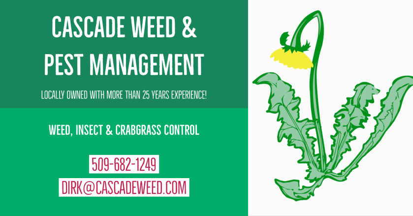 adobe-spark-post-cascade