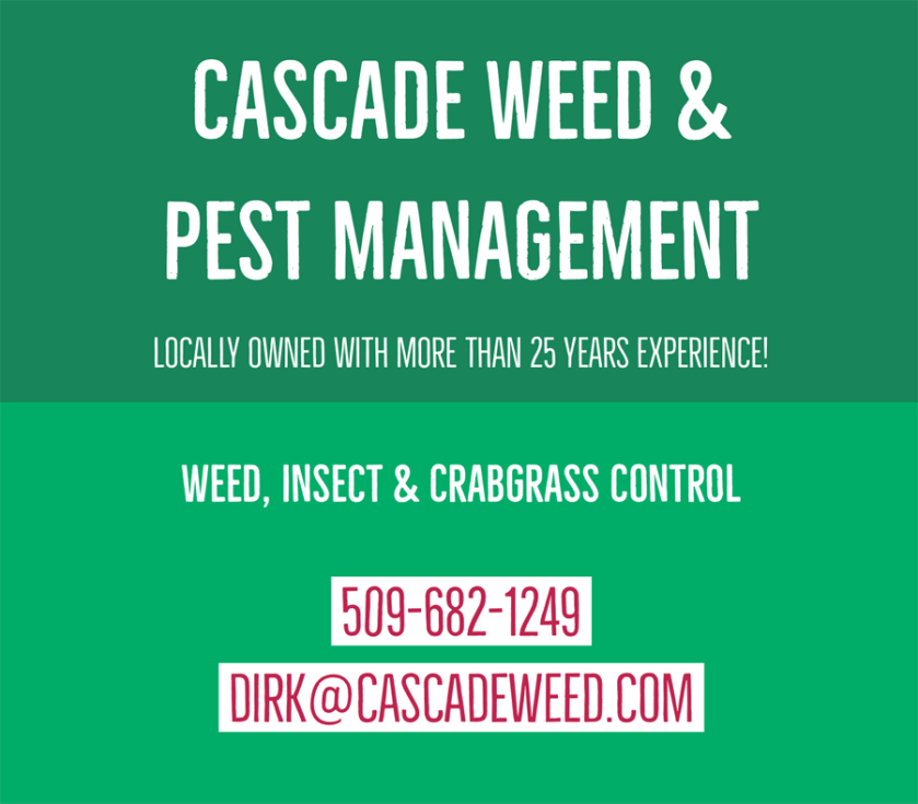 adobe-spark-post-cascade