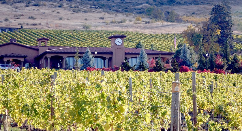 Tsillan Cellars Vineyard - Lake Chelan
